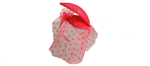 Panette Turquesa Pluma